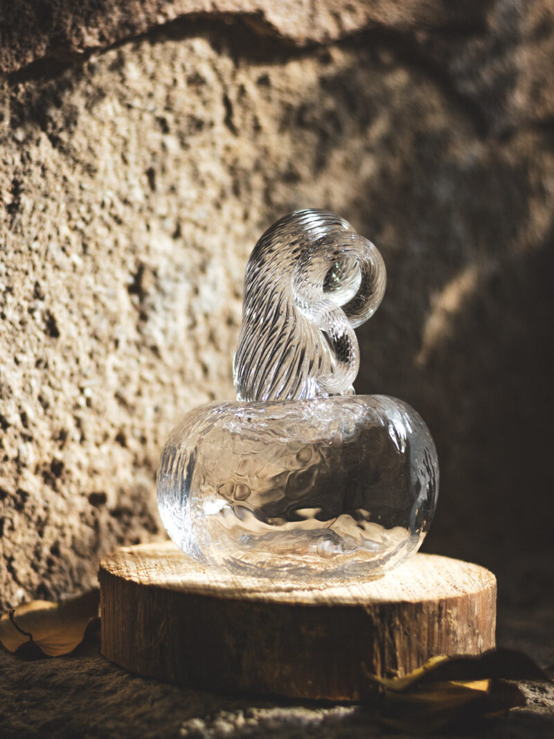 Calabaza Transparente