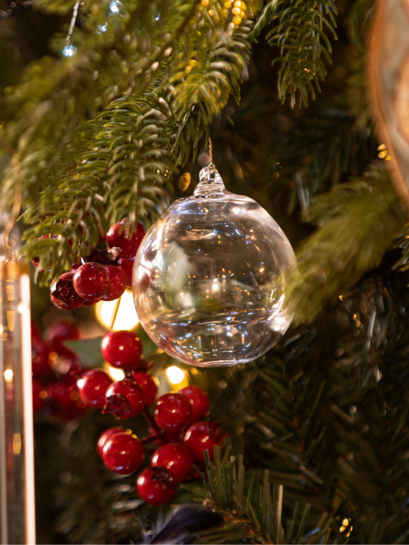 Fotos web (1) Bola de Navidad Transparente